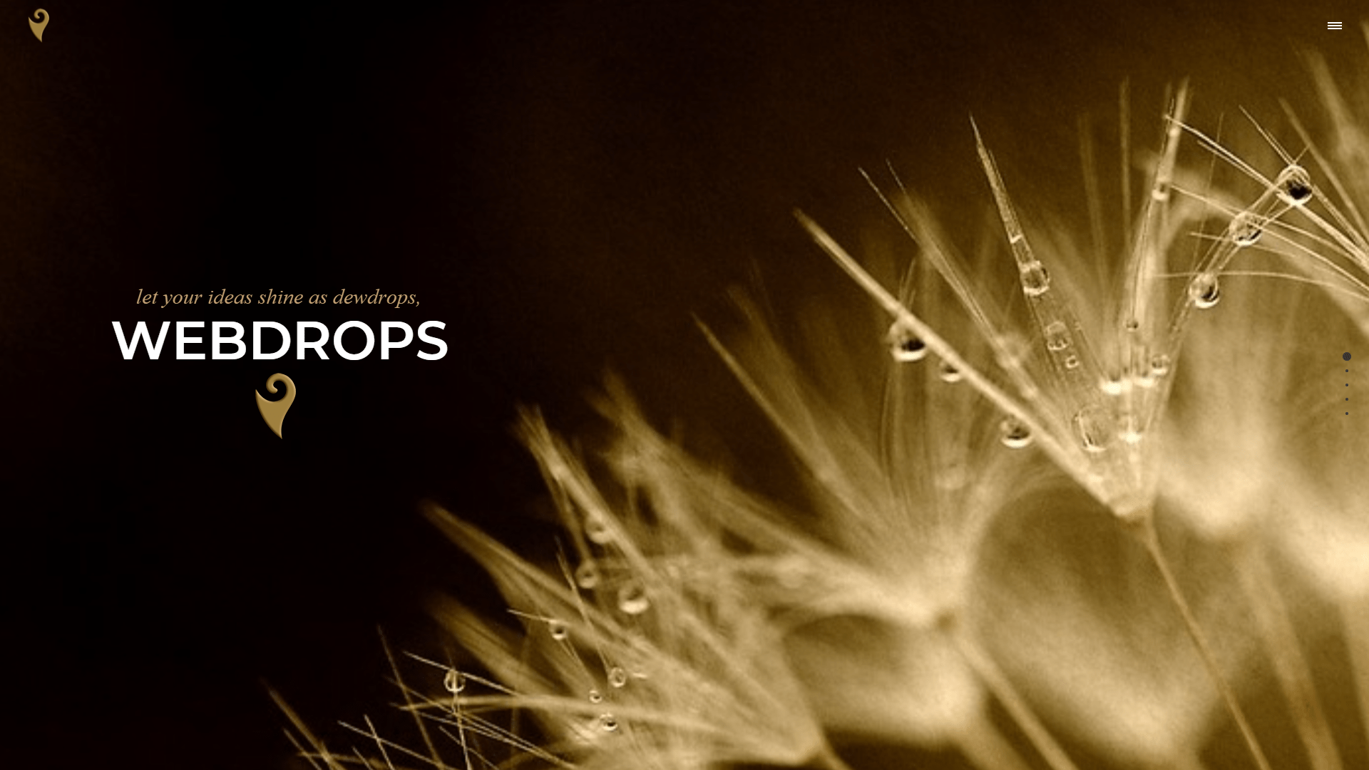 Drop Webding Webdrops webdesign - your personal webdesigner